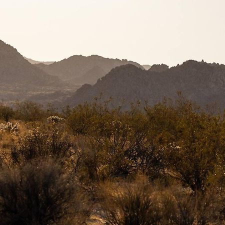 Panoramic Heaven - Luxury Designer Property W Spa Joshua Tree Eksteriør bilde