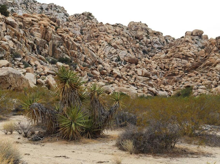 Panoramic Heaven - Luxury Designer Property W Spa Joshua Tree Eksteriør bilde