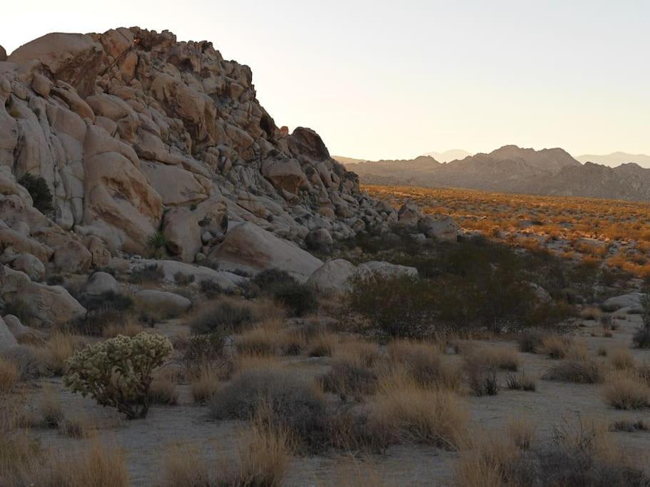 Panoramic Heaven - Luxury Designer Property W Spa Joshua Tree Eksteriør bilde