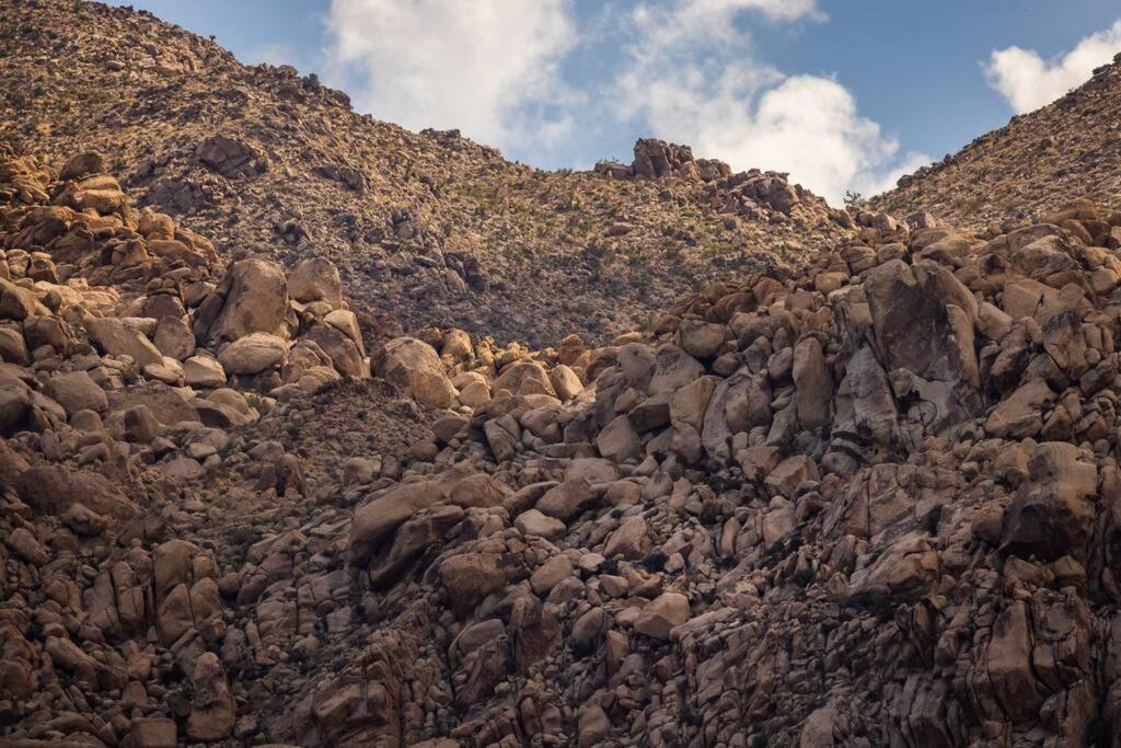 Panoramic Heaven - Luxury Designer Property W Spa Joshua Tree Eksteriør bilde